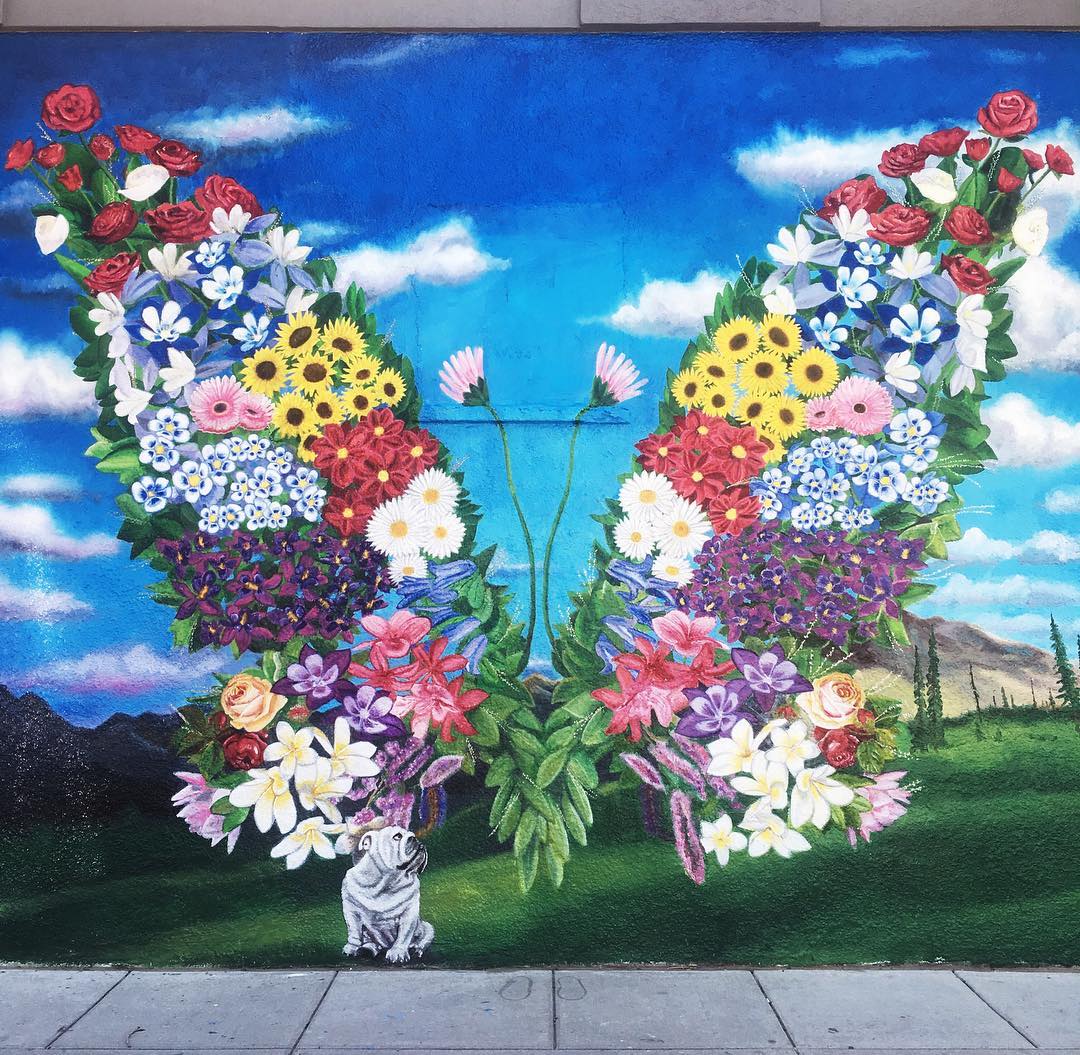 mural in Denver by artist Patrick Kane McGregor. Tagged: flowers, wings