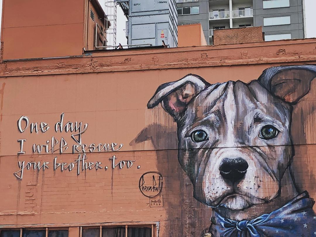 mural in Nashville by artist Herakut. Tagged: animals