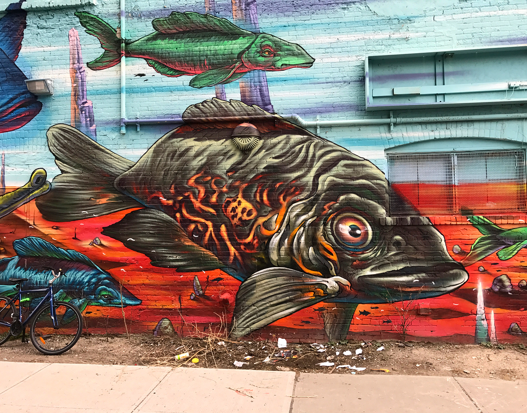 mural in Toronto by artist Bruno Smoky. Tagged: animals