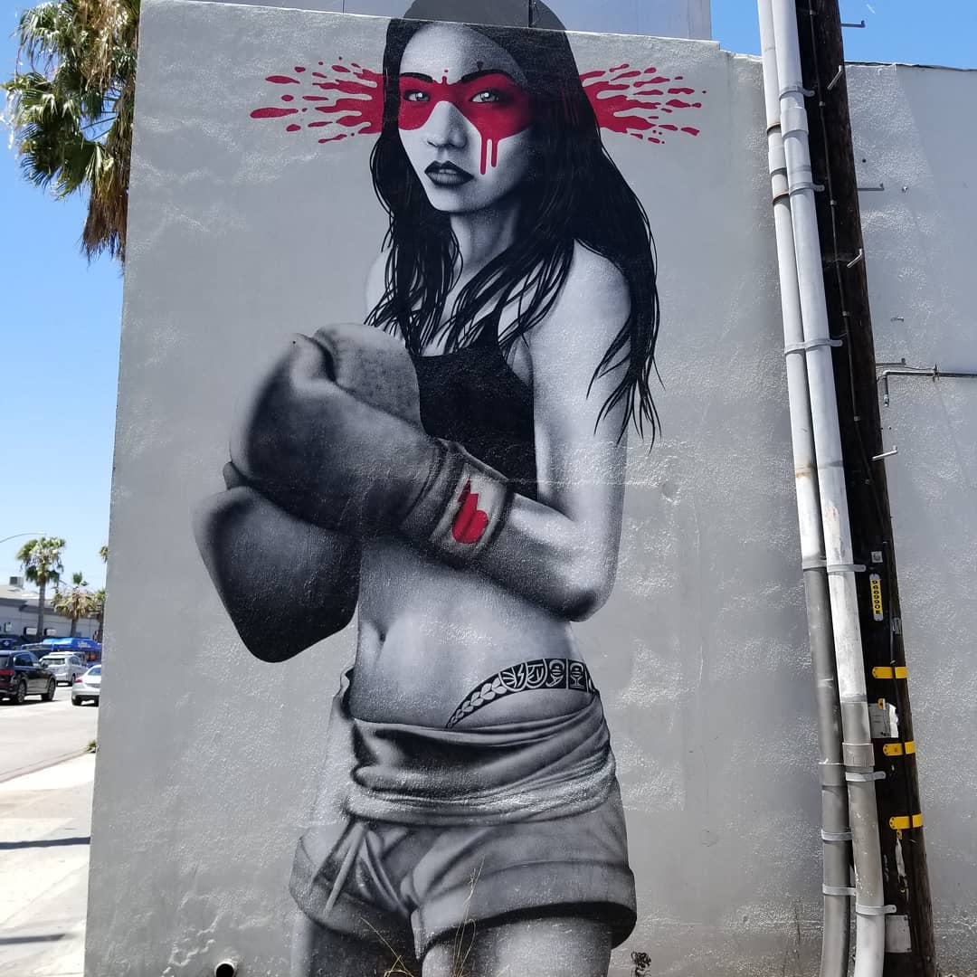 mural in Santa Monica by artist Fin Dac.