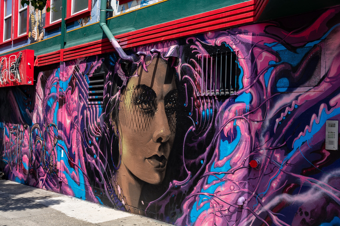 mural in San Francisco by artist Lango Oliveira.