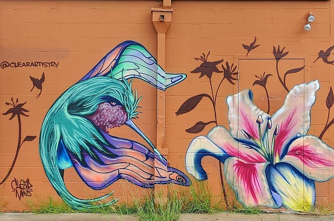 mural in Houston by artist Clear. Tagged: flowers