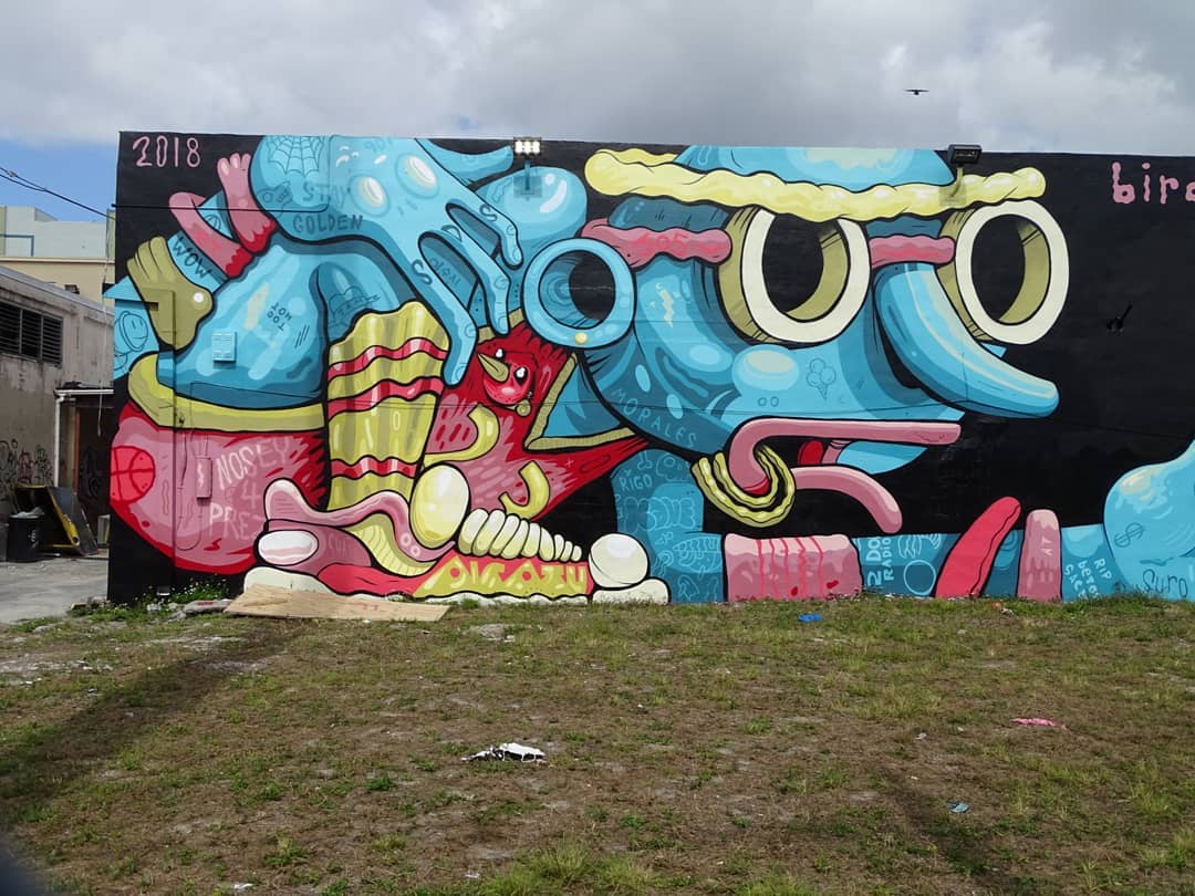 mural in Miami by artist Birdcap.